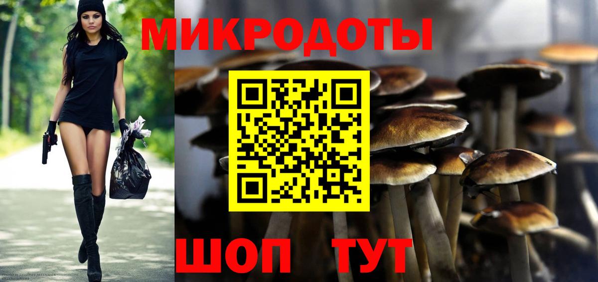 Каменка  Псилоцибиновые грибы прущие грибы  Вход с VPN 